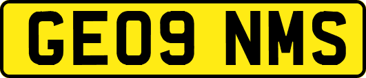 GE09NMS