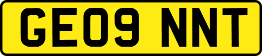 GE09NNT