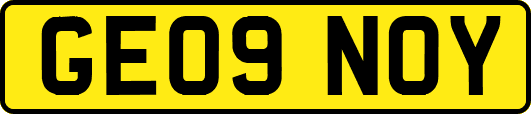 GE09NOY