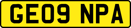 GE09NPA