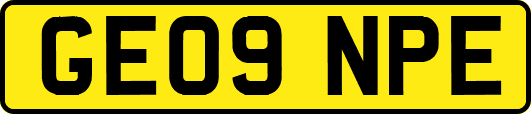 GE09NPE