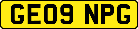 GE09NPG