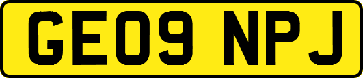 GE09NPJ
