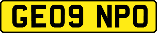 GE09NPO