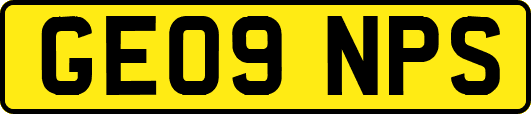 GE09NPS