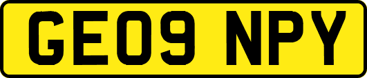 GE09NPY