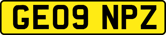 GE09NPZ