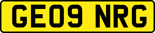 GE09NRG