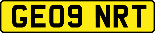 GE09NRT