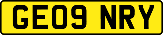 GE09NRY