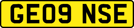 GE09NSE