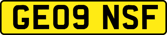GE09NSF