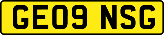 GE09NSG
