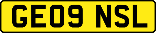 GE09NSL