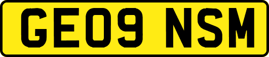 GE09NSM
