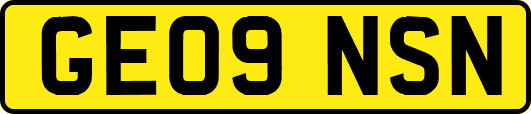 GE09NSN