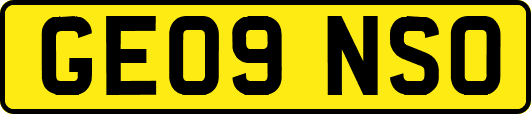 GE09NSO