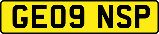 GE09NSP