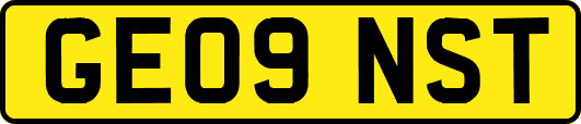 GE09NST