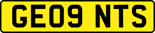 GE09NTS
