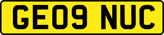 GE09NUC