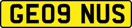 GE09NUS