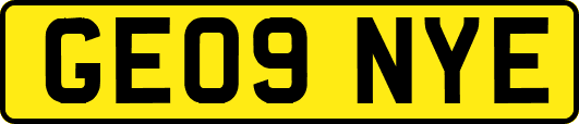 GE09NYE