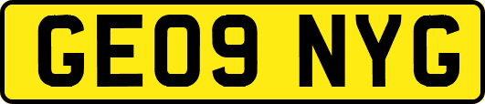 GE09NYG