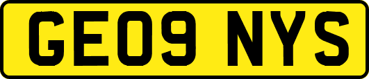GE09NYS