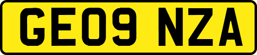 GE09NZA