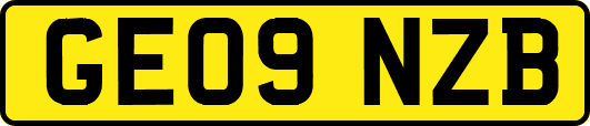 GE09NZB