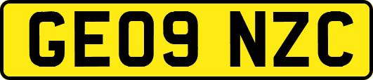 GE09NZC