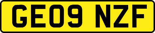 GE09NZF