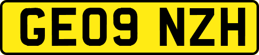 GE09NZH