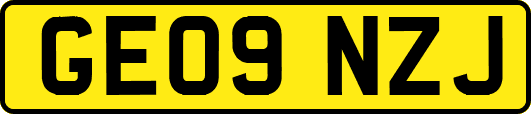 GE09NZJ
