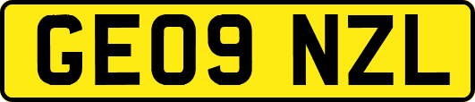 GE09NZL