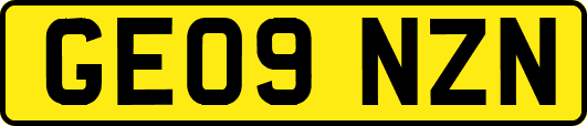 GE09NZN