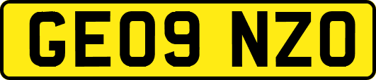 GE09NZO