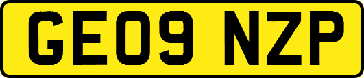 GE09NZP