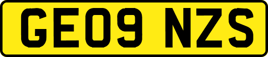 GE09NZS