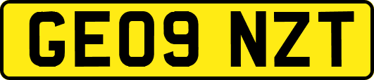 GE09NZT