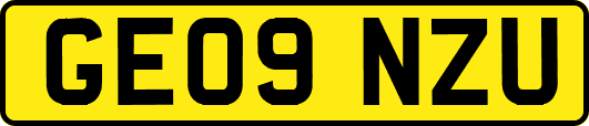 GE09NZU