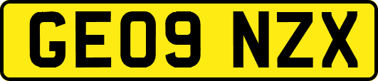 GE09NZX