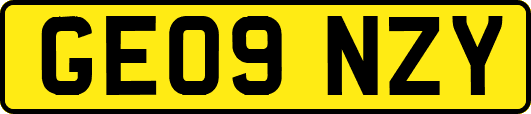 GE09NZY