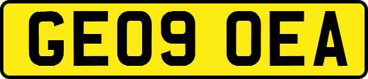 GE09OEA
