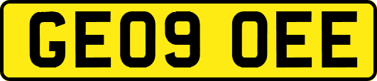 GE09OEE