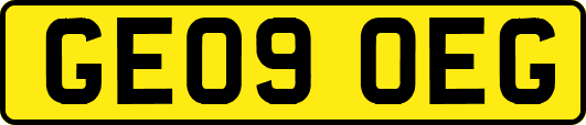 GE09OEG