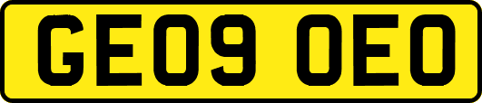 GE09OEO