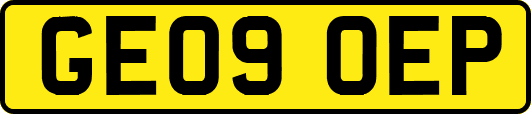 GE09OEP