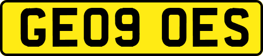 GE09OES